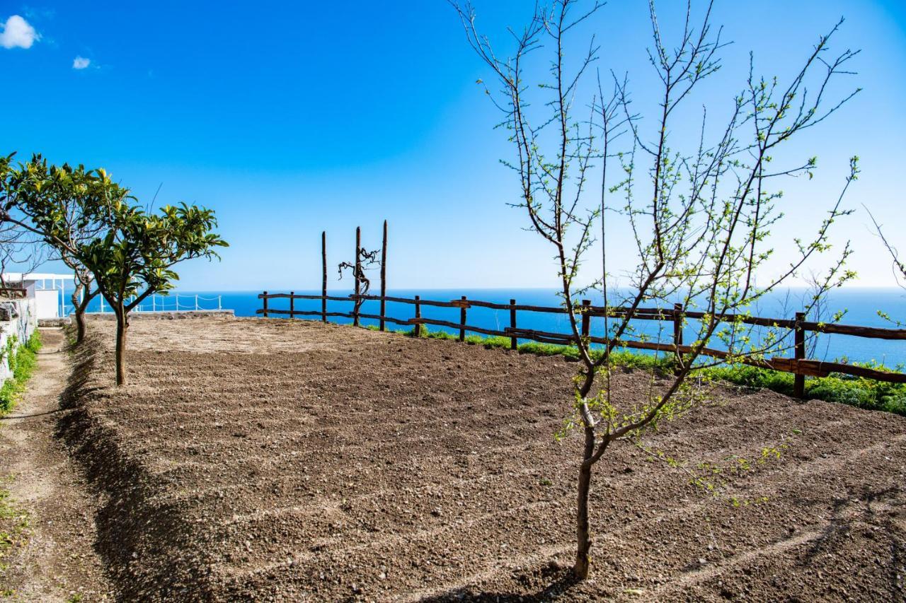 VILLA LA TAGLIATA spectacular jacuzzi hot tub amazing view&private parking garage Positano Exterior foto